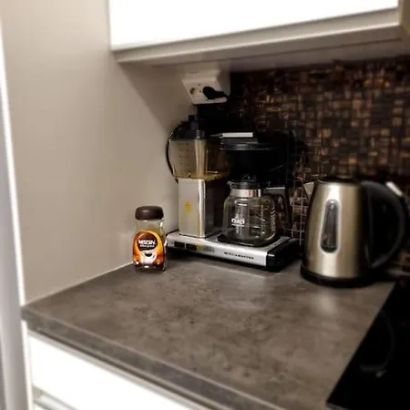 公寓 In The Center 罗瓦涅米